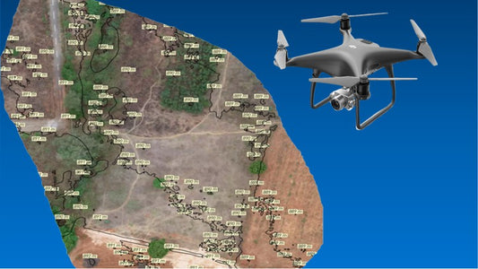 How Drones are Transforming Surveying and Land Mapping
