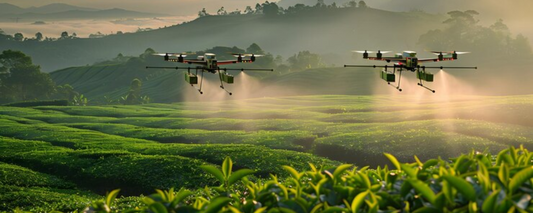 Discover Precision Farming: Best Agriculture Drones