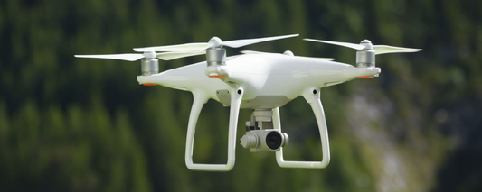 The Role of Drones in Urban Wildlife Conservation and Management