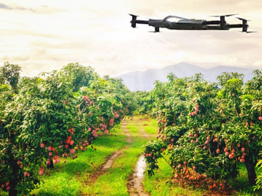 The Role of Drones in Advanced Horticulture Practices