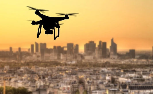The Role of Drones in Urban Environmental and Ecological Studies