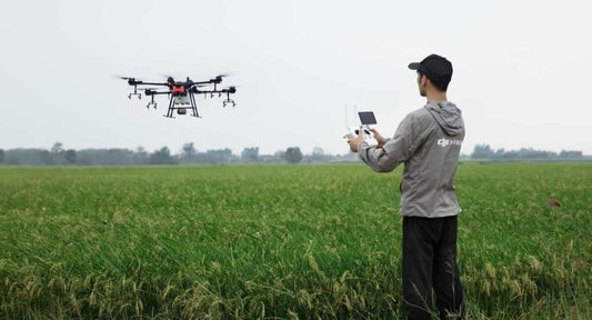 A Guide to Drones in Agricultural Pest Control