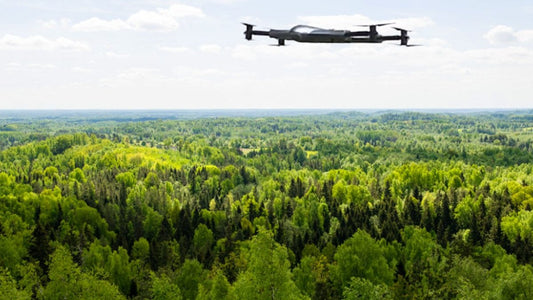 Flying Drones in National Forests: Regulations and Tips
