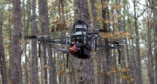 The Role of Drones in Advanced Forest Health Monitoring