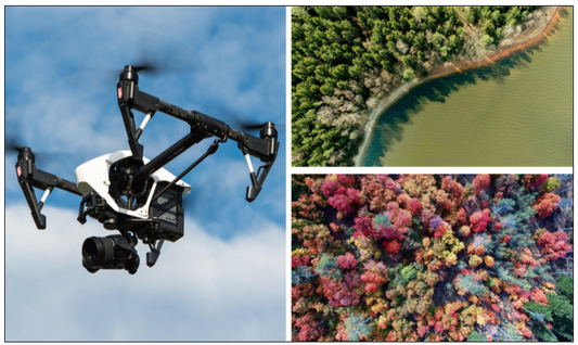 The Role of Drones in Biodiversity Conservation