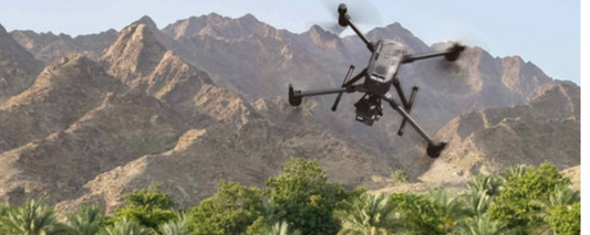 How Drones are Transforming the Field of Botany