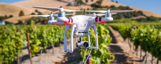 Best Agriculture Drones: Top Models for Farming