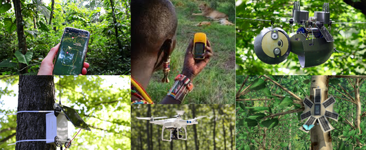 Advancements in Drone-Based Wildlife Tracking