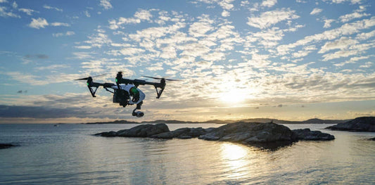 Aerial Photography in Marine Biology Research