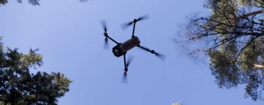 The Use of Drones in Urban Tree Health Assessments