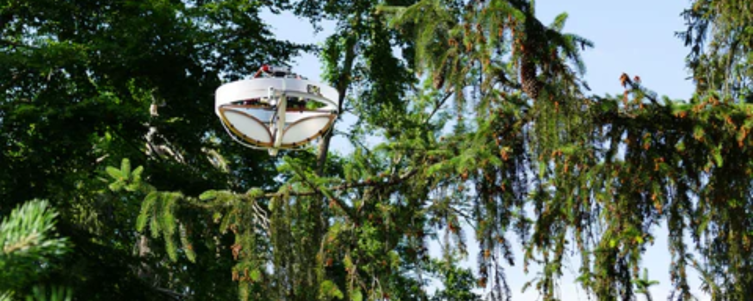 The Role of Drones in Urban Tree Canopy Assessments – Dronesdeli