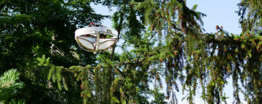 The Role of Drones in Urban Tree Canopy Assessments