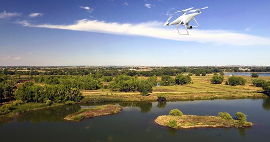 Drones in Environmental Monitoring: Tracking Changes