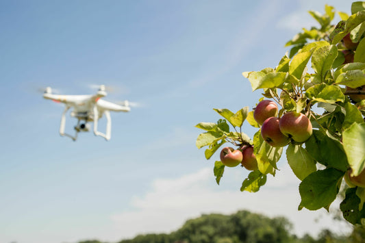 Environmental Monitoring & Conservation: Drones Protecting Our Planet