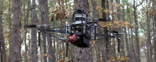 The Role of Drones in Advanced Forest Health Monitoring