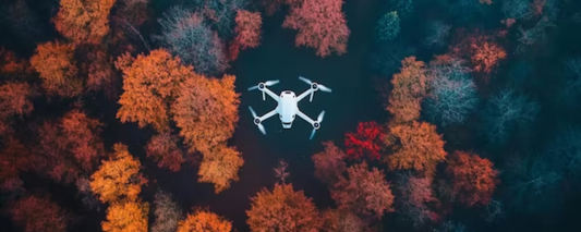 Drones for Wildlife Photography: Capture Nature Up Close