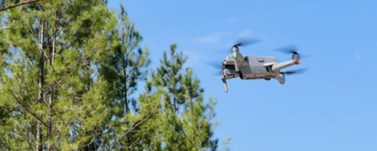 The Use of Drones in Forestry and Land Management