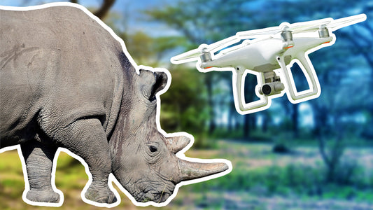 Using Drones for Rhinoceros Habitat Preservation