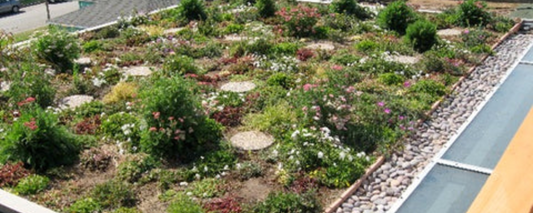 How to Use Drones for Urban Green Roof Inspection and Monitoring