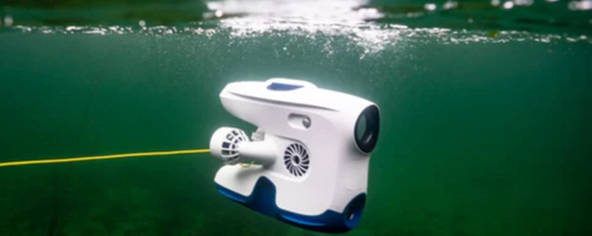 The Best Drones for Monitoring Oceanic Wildlife