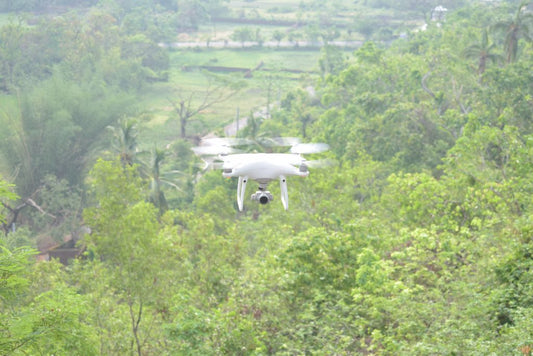 The Role of Drones in Urban Nature Reserve Management