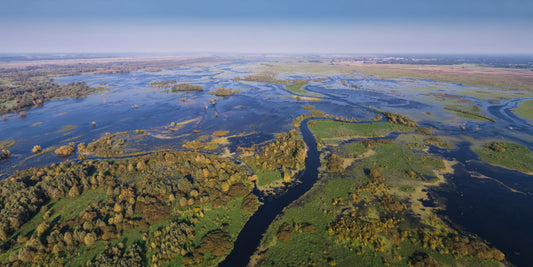 Drones in Wetland Conservation: Protecting Habitats