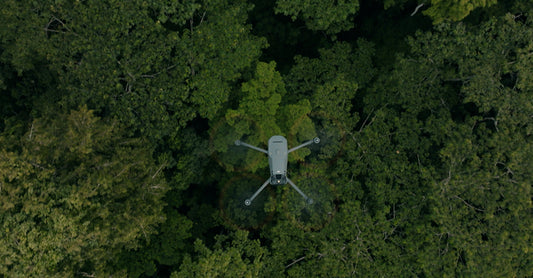 Exploring the Wilderness: Capturing the Beauty of Nature with Drones