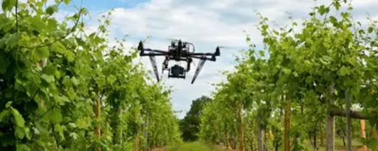 The Use of Drones in Precision Viticulture and Winemaking