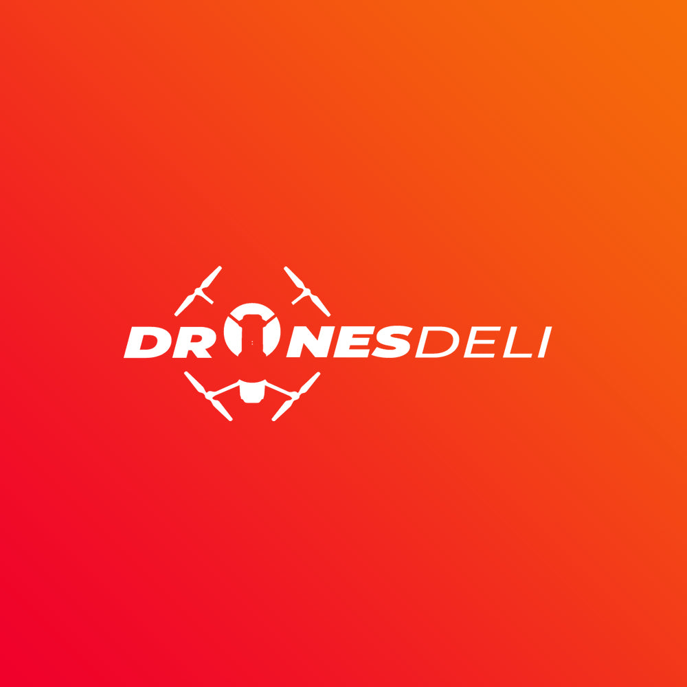 dronesdeli.com